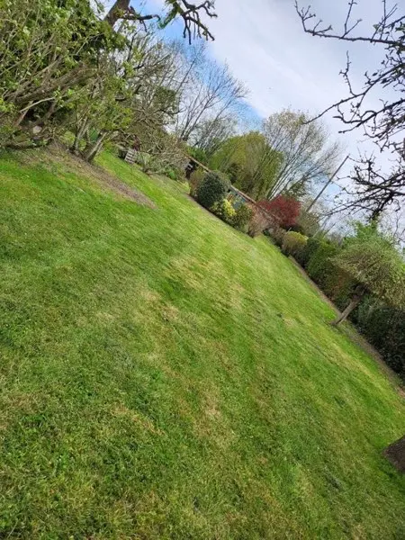 Jardin verdoyant en arrière-plan pour les chiffres clés d'ALP Jardin